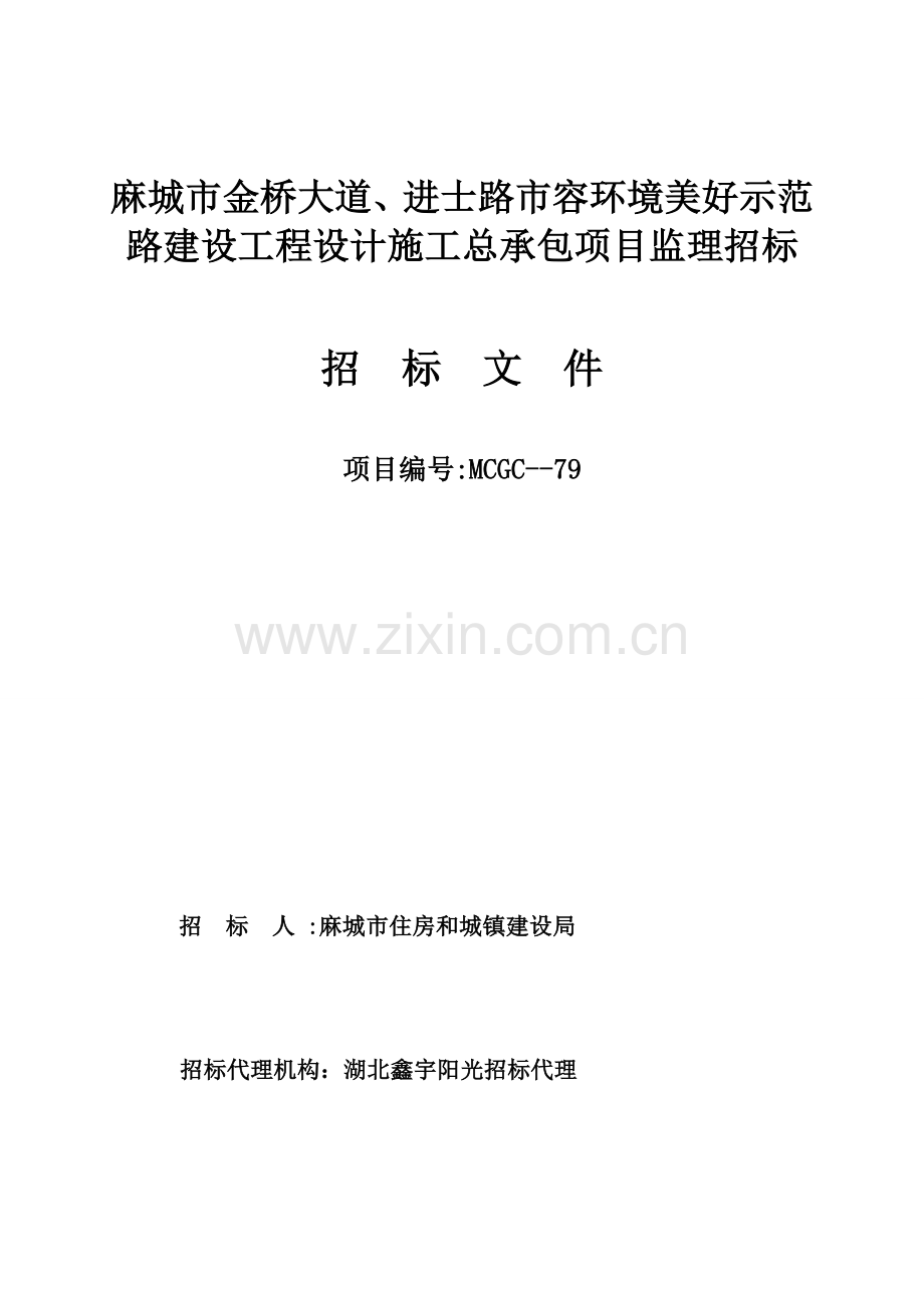路建设工程设计施工总承包项目监理招标文件模板.doc_第1页
