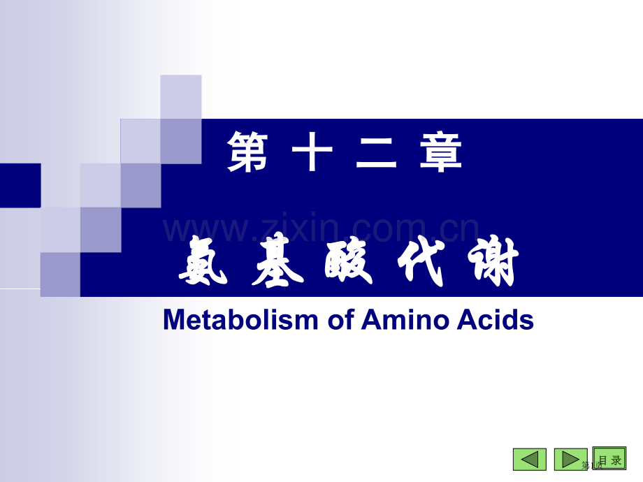 生物化学与分子生物学八课件3市公开课一等奖百校联赛特等奖课件.pptx_第1页