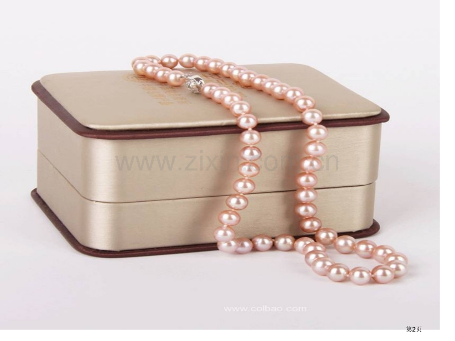 圆圆的沙粒.pptx_第2页