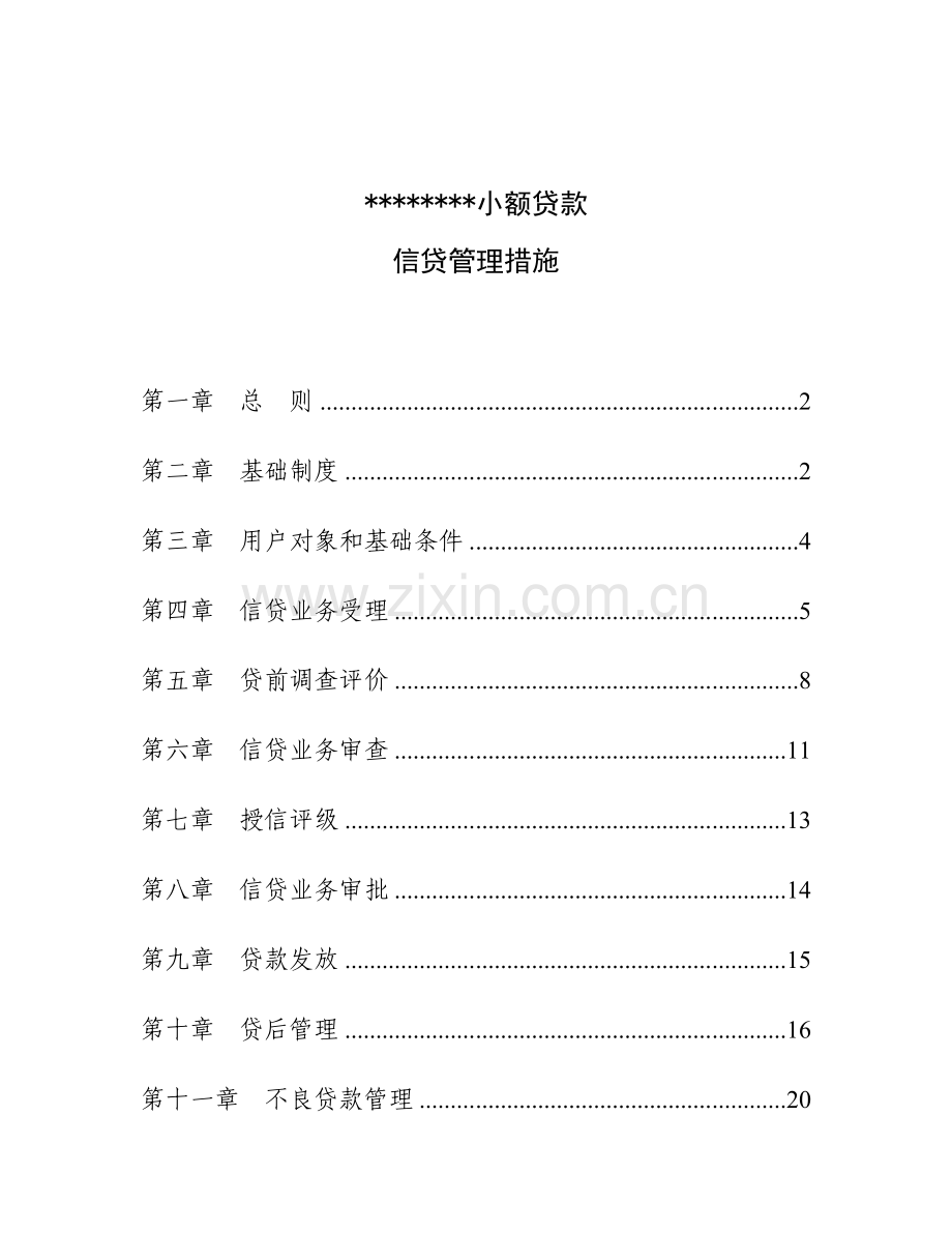 小额贷款有限公司管理办法模板.doc_第1页