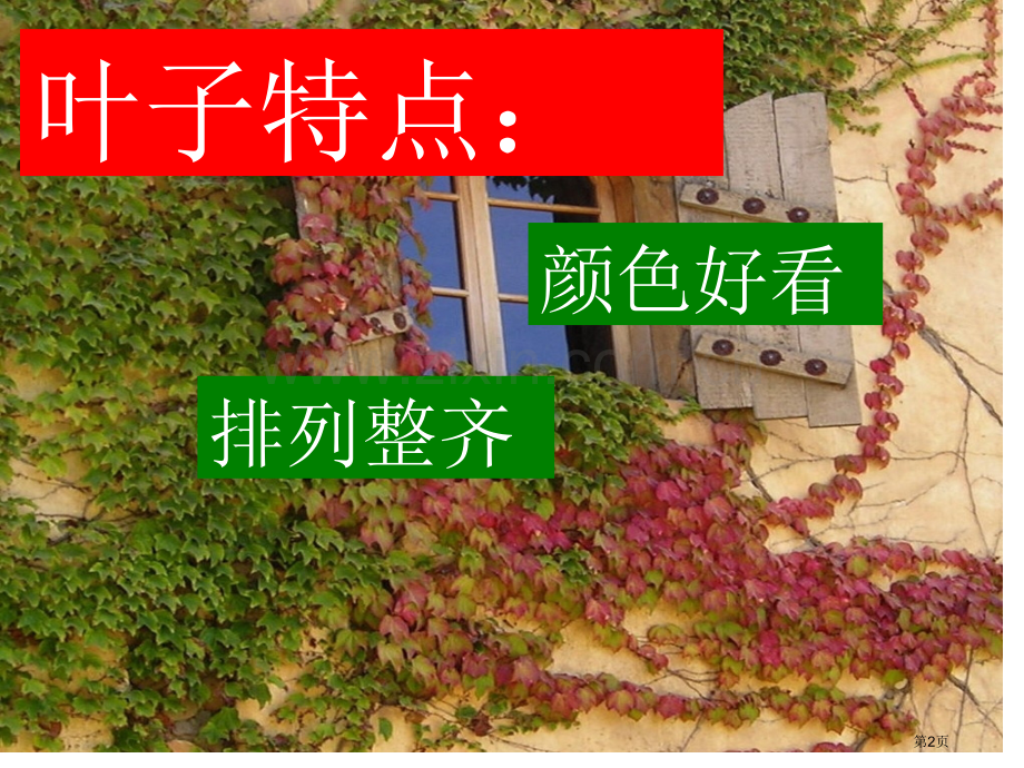 爬山虎的脚时市公开课一等奖百校联赛获奖课件.pptx_第2页