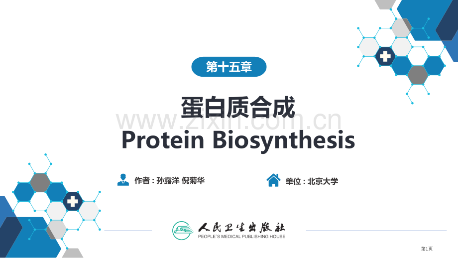 生物化学和分子生物学人卫蛋白质的合成省公共课一等奖全国赛课获奖课件.pptx_第1页