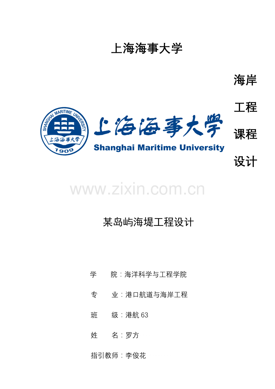 海堤综合项目工程设计项目说明书.doc_第1页