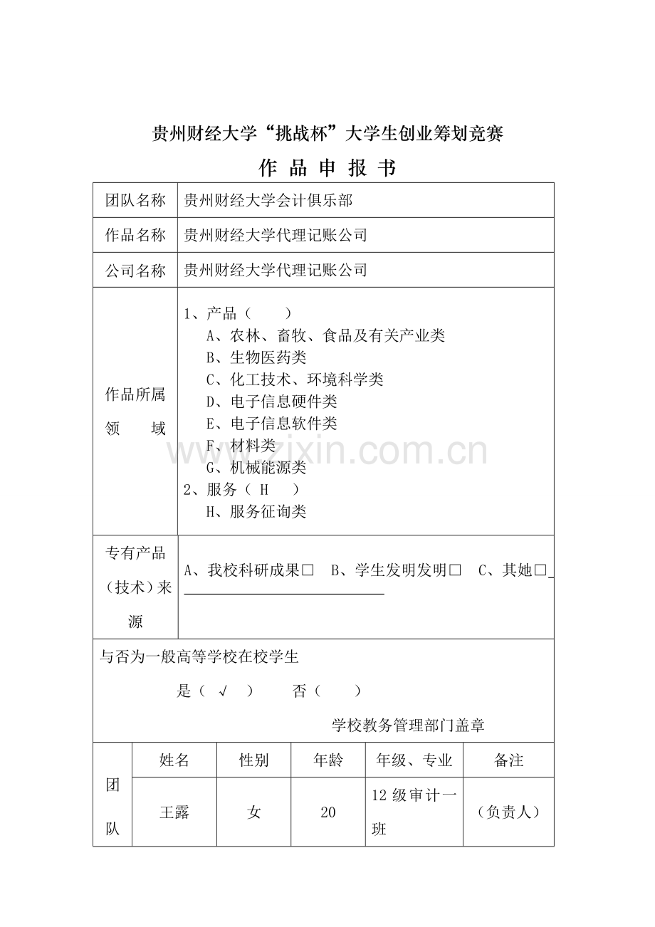 代理记账公司商业综合计划书.docx_第2页