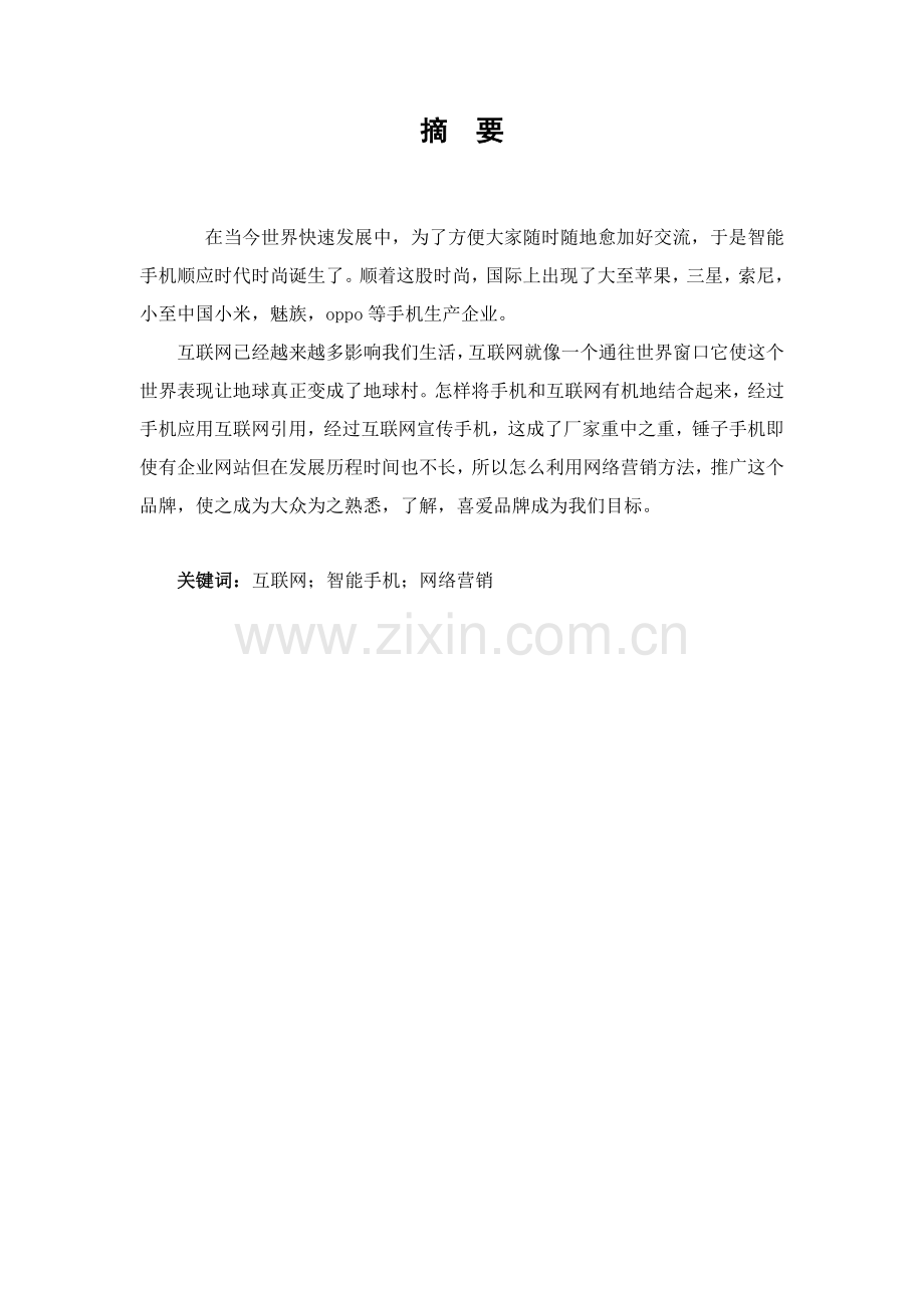 公司产品网络营销专业策划专项方案.docx_第2页