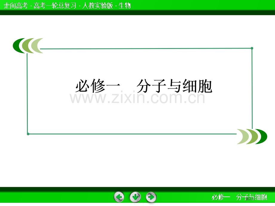 走向高考生物人教实验版高考一轮总复习能量之源光与光合作用省公共课一等奖全国赛课获奖课件.pptx_第2页