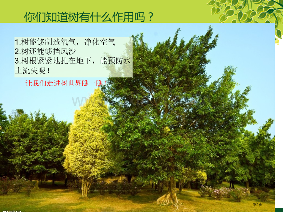 各种各样的树美术省公共课一等奖全国赛课获奖课件.pptx_第2页