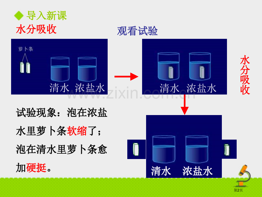 吸收作用教学课件省公开课一等奖新名师优质课比赛一等奖课件.pptx_第2页