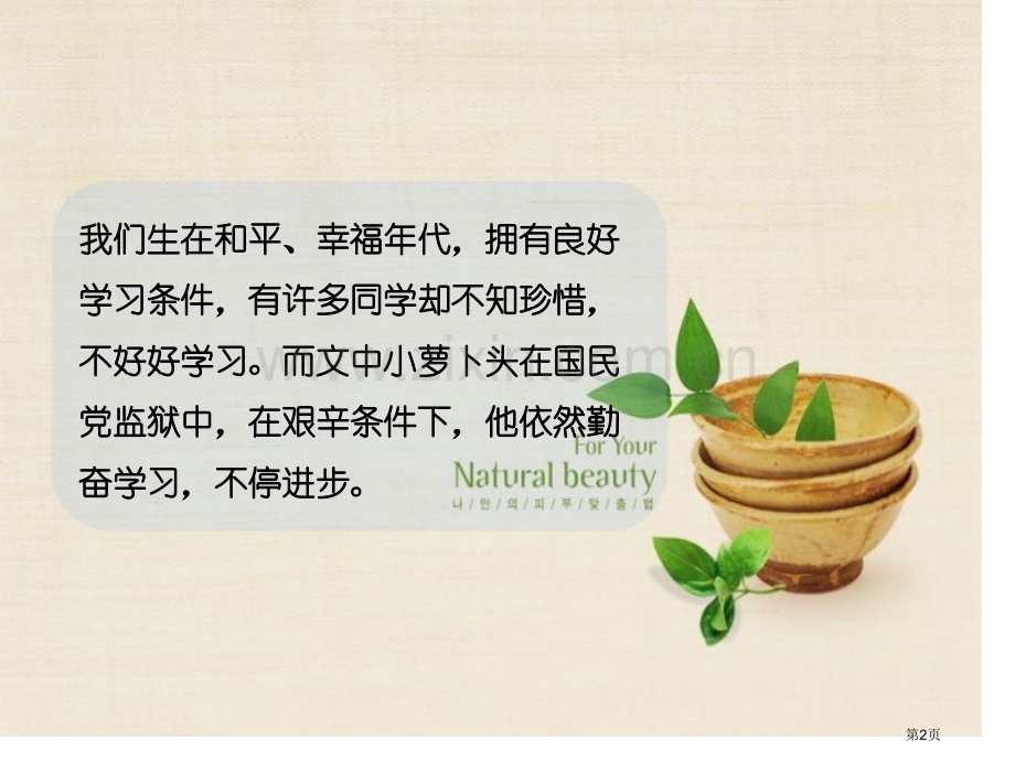 小萝卜头的故事.pptx_第2页