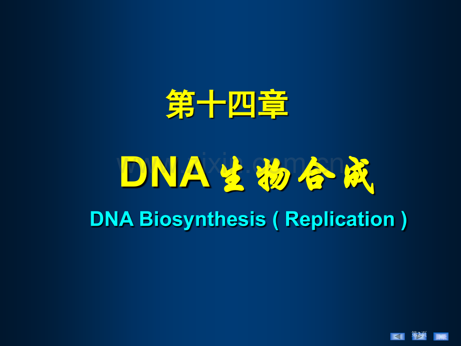 人卫版DNA的生物合成省公共课一等奖全国赛课获奖课件.pptx_第2页