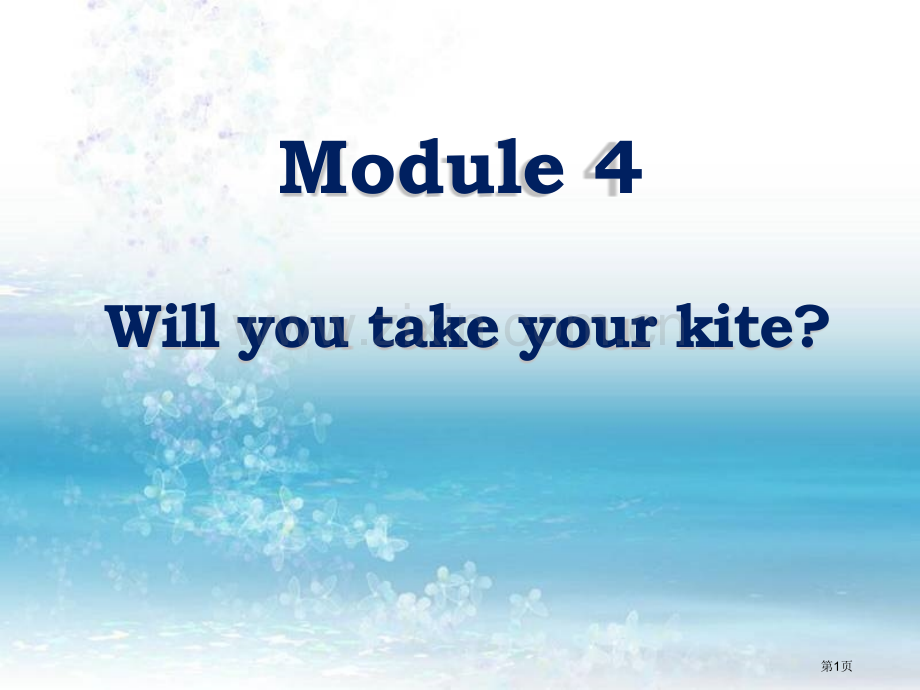 Will-you-take-your-kite.pptx_第1页