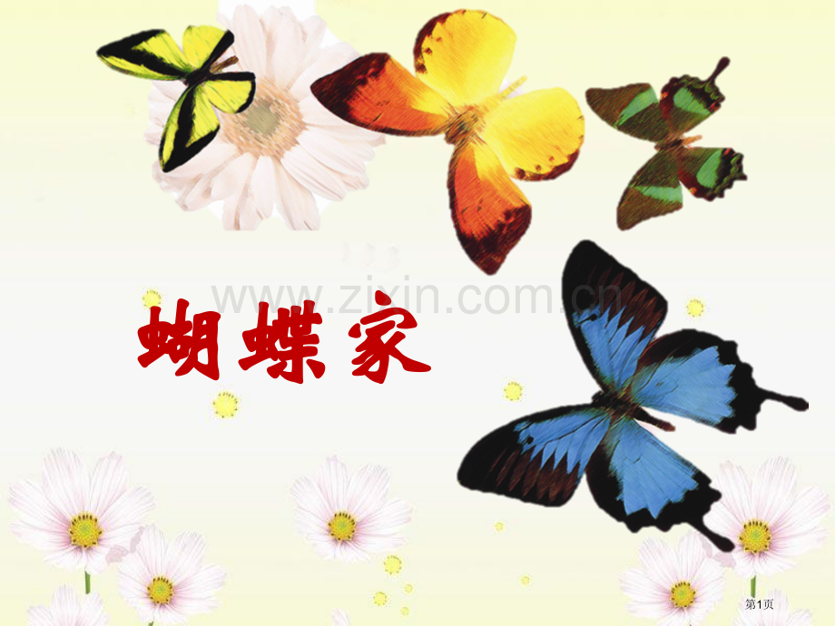 蝴蝶的家百校联赛一等奖.pptx_第1页