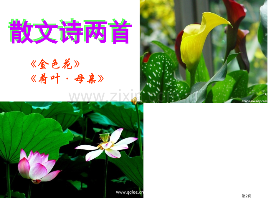 散文诗两首微课市公开课一等奖百校联赛获奖课件.pptx_第2页