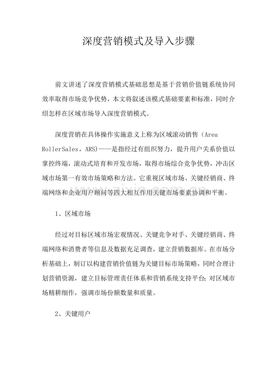 深度营销模式及导入流程分析报告模板.doc_第1页
