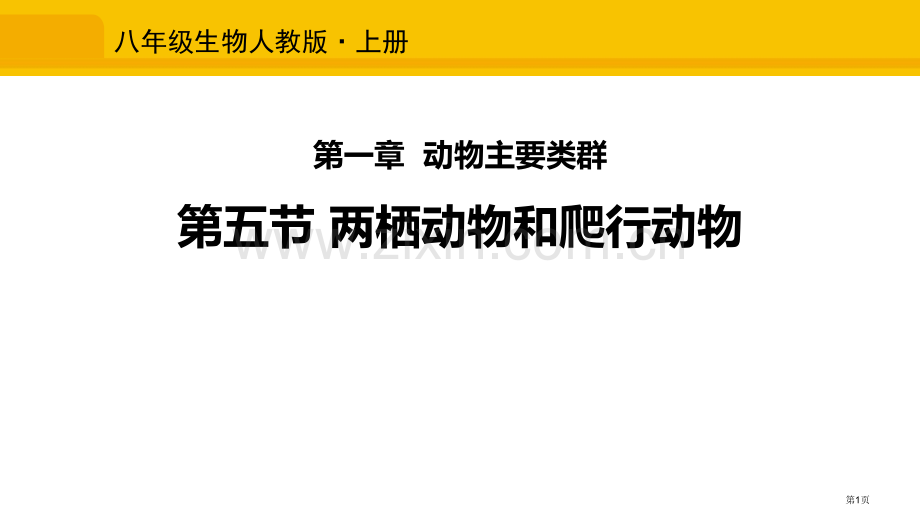 两栖动物和爬行动物省公开课一等奖新名师优质课比赛一等奖课件.pptx_第1页