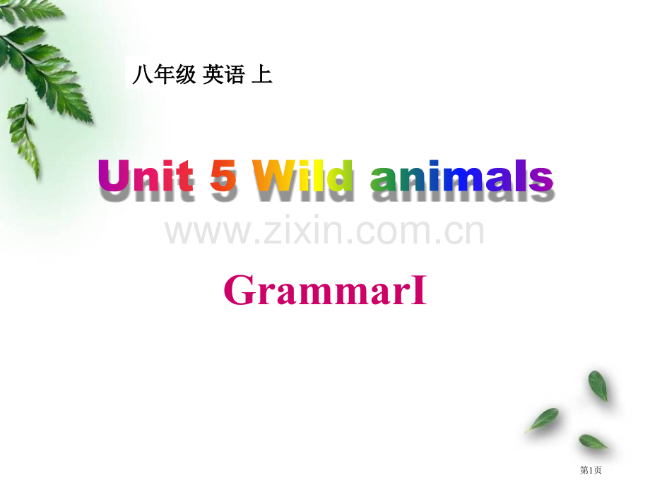 Wild-animalsGrammar.pptx_第1页