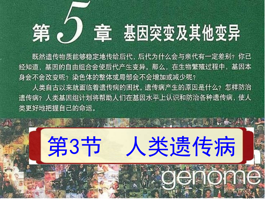 高中生物必修二人类遗传病省公共课一等奖全国赛课获奖课件.pptx_第1页