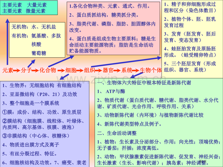 高二生物上学期期末复习省公共课一等奖全国赛课获奖课件.pptx_第2页