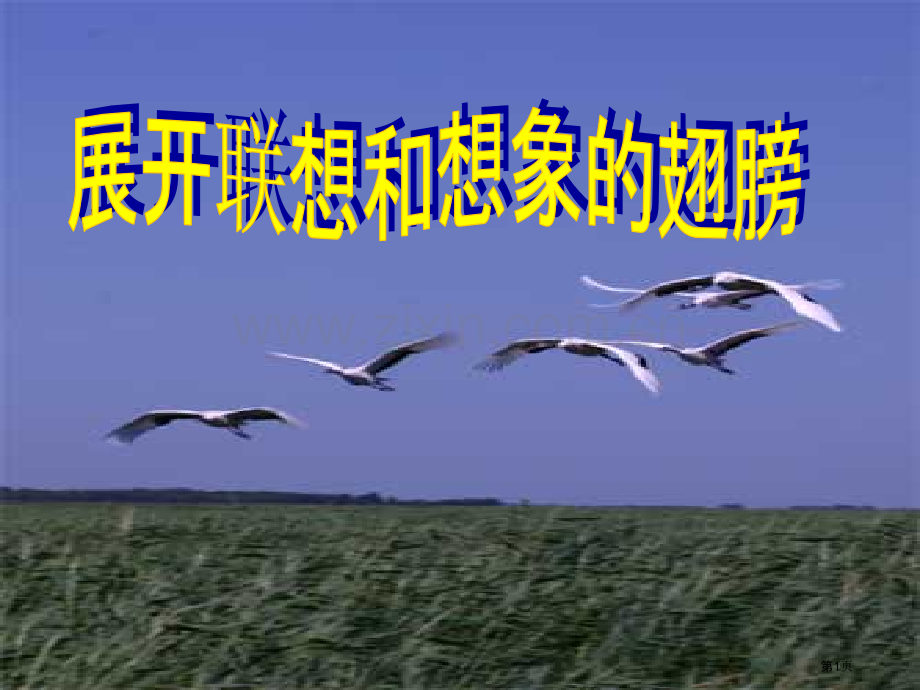 写作发挥联想和想象省公共课一等奖全国赛课获奖课件.pptx_第1页
