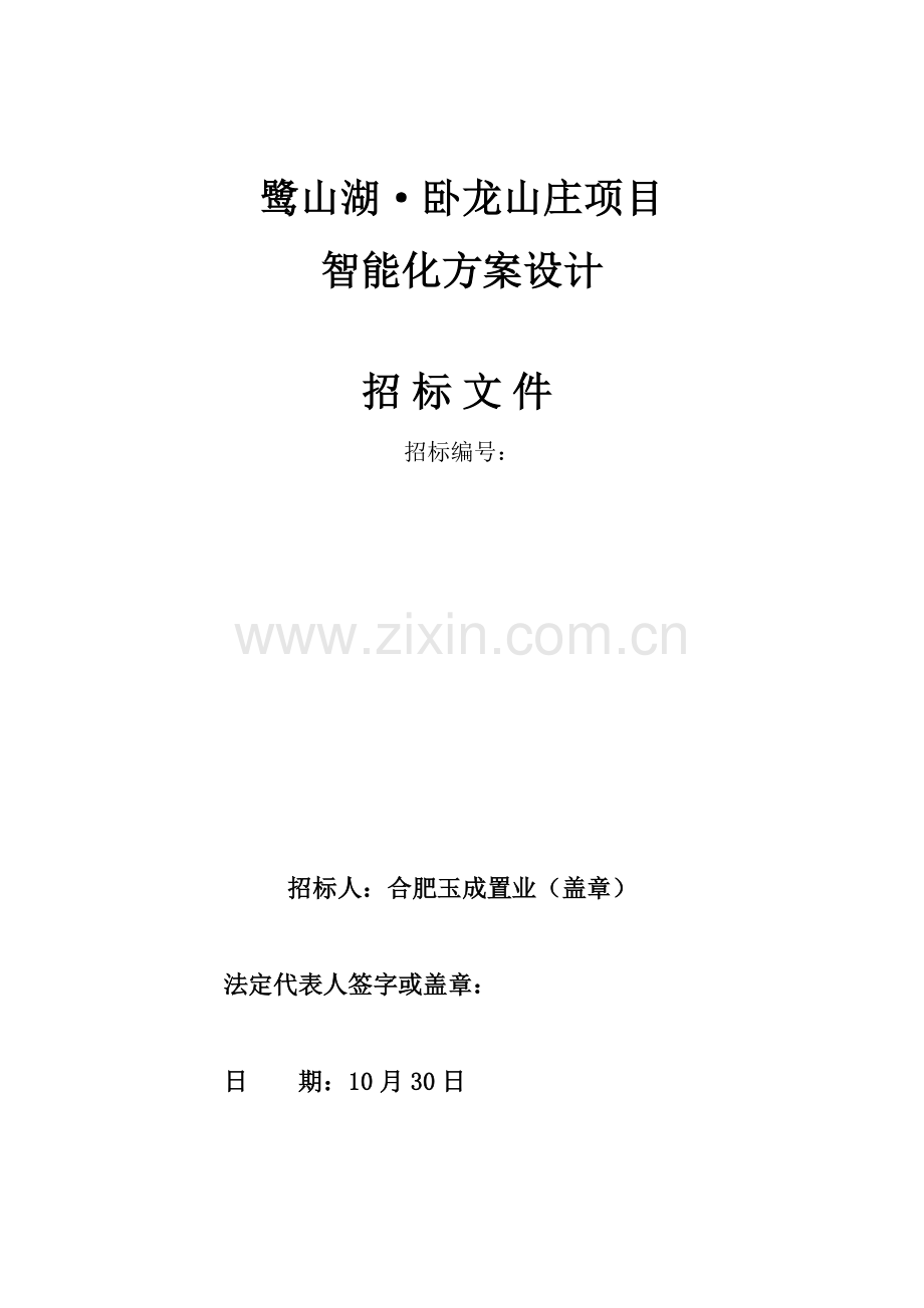 山庄项目智能化方案设计招标文件模板.doc_第1页