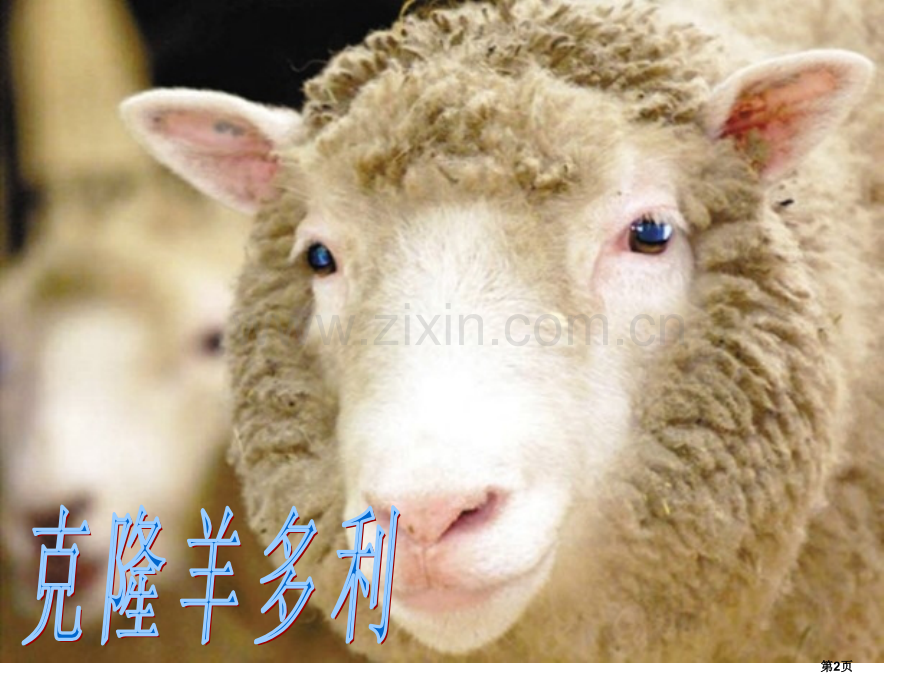 生物繁殖新技术省公开课一等奖新名师优质课比赛一等奖课件.pptx_第2页