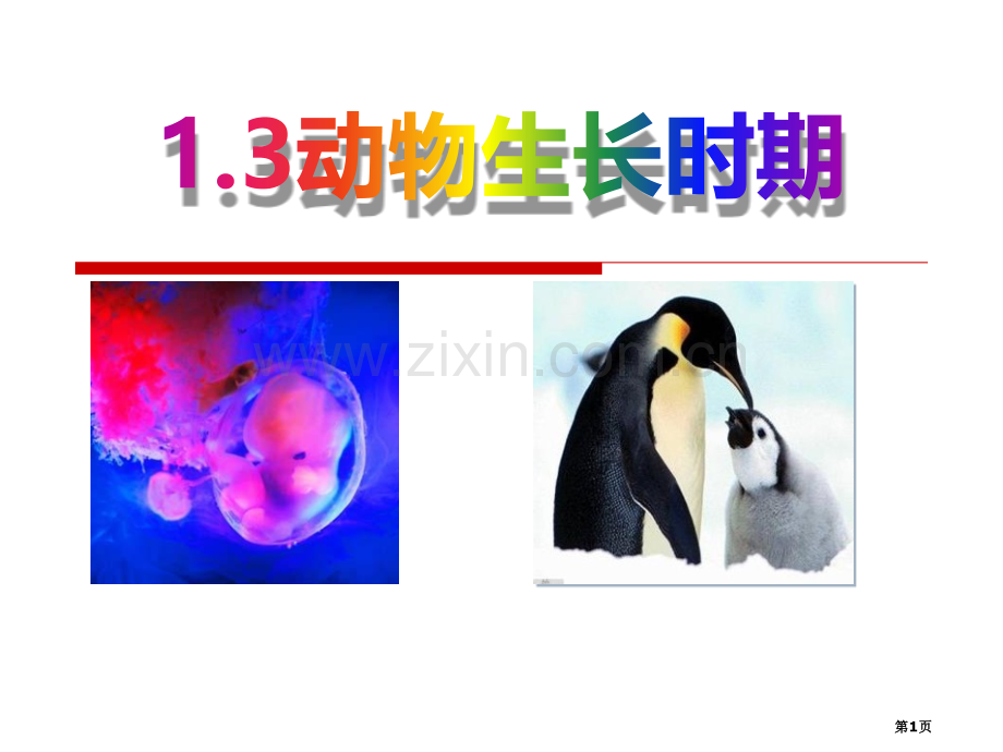 动物的生长时期省公开课一等奖新名师优质课比赛一等奖课件.pptx_第1页