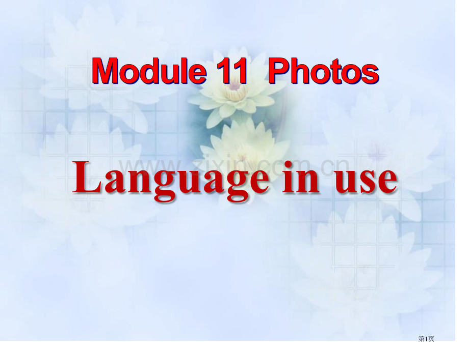 Language-in-usePhotos-省公开课一等奖新名师优质课比赛一等奖课件.pptx_第1页