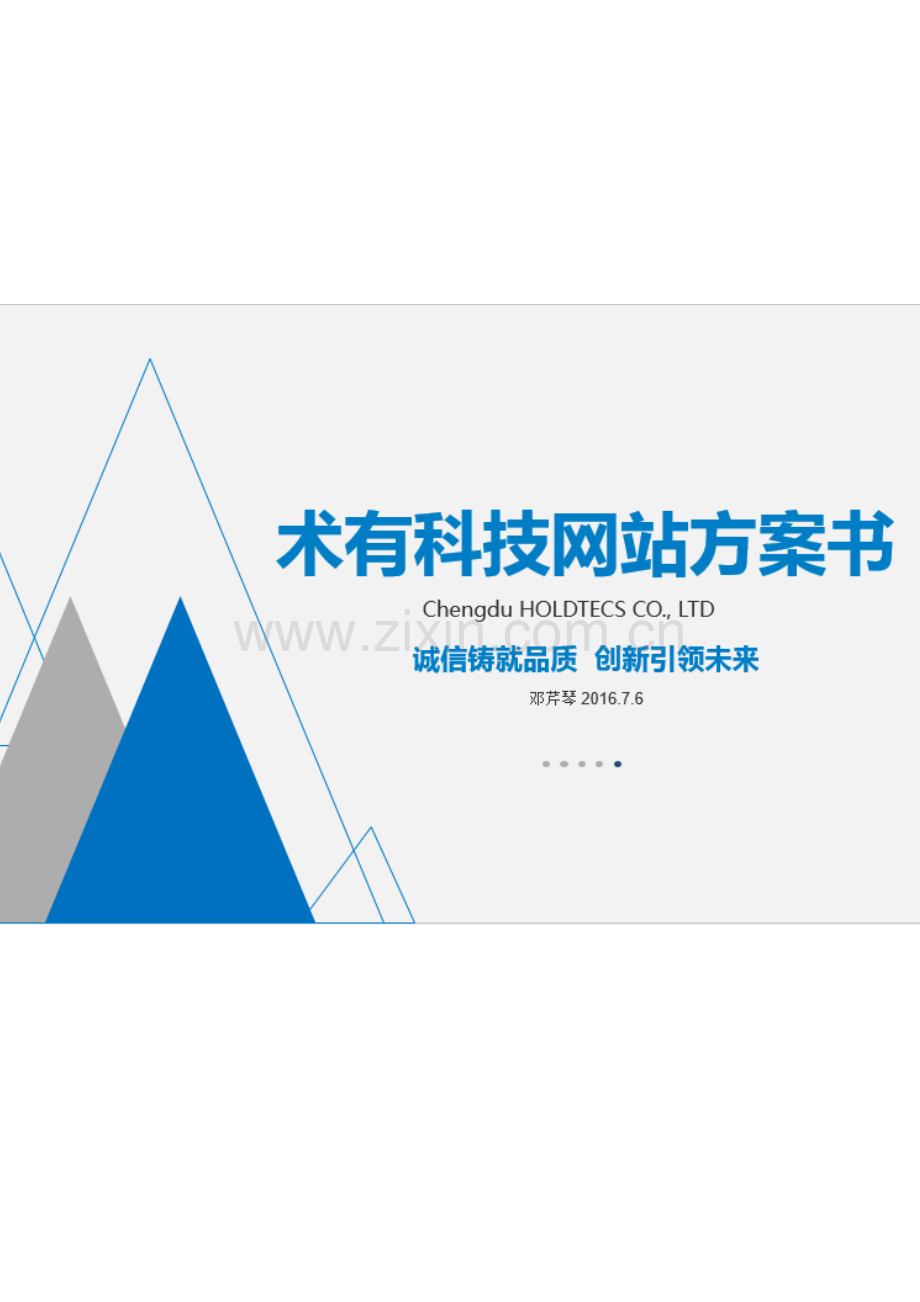 公司网站建设专业方案详细专业方案.doc_第1页