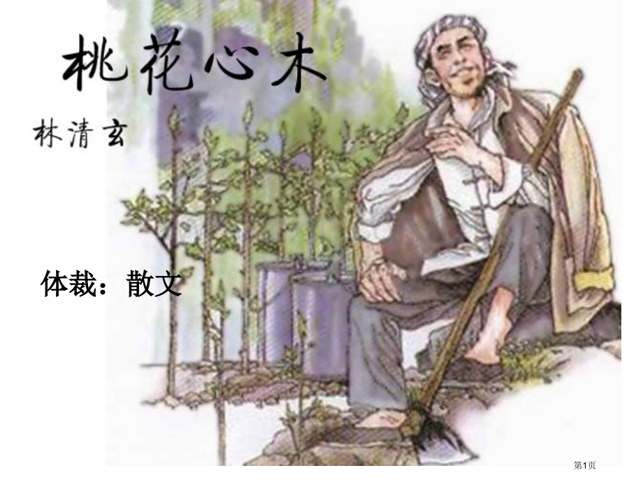 人教版小学六年级语文下册《桃花心木》市公开课一等奖百校联赛获奖课件.pptx_第1页
