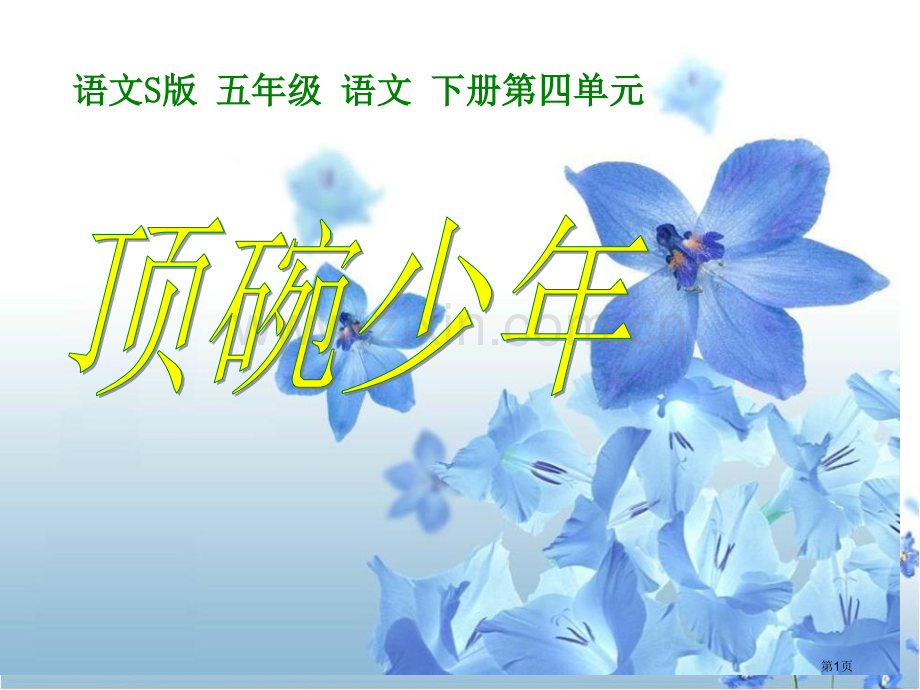 顶碗少年省公开课一等奖新名师比赛一等奖课件.pptx_第1页