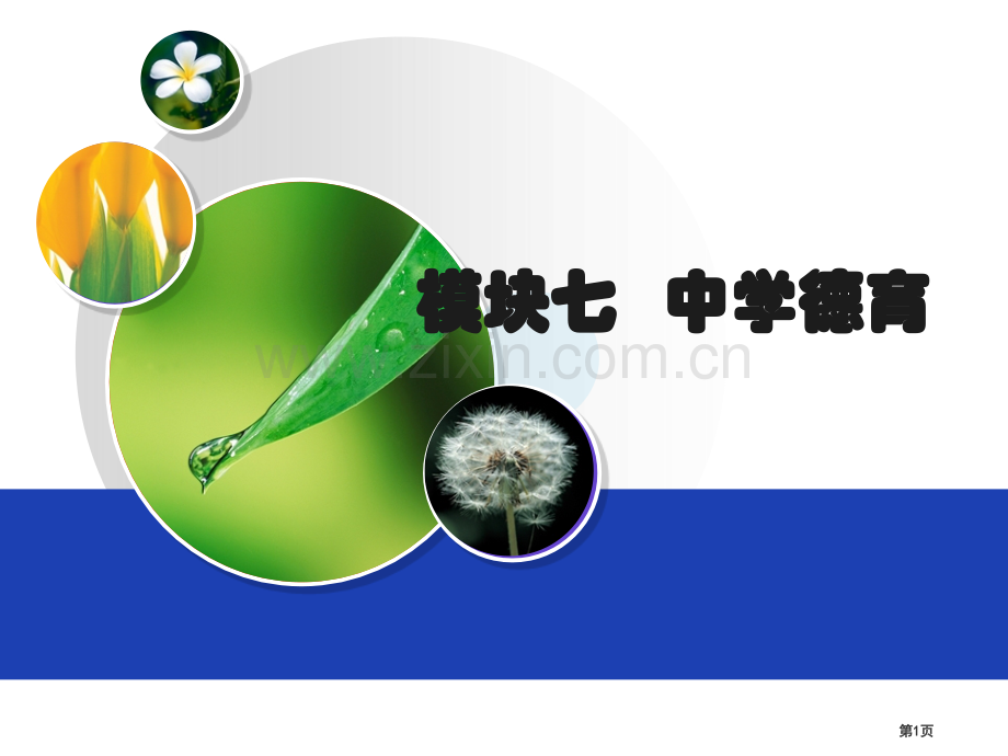教师资格证中学德育省公共课一等奖全国赛课获奖课件.pptx_第1页