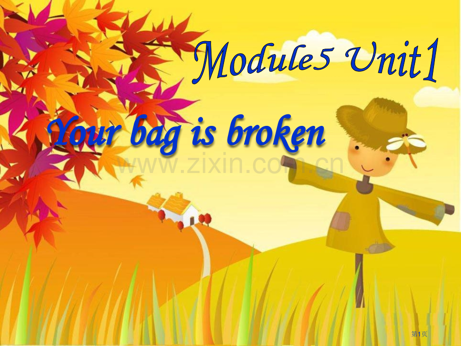 Your-bag-is-broken课件省公开课一等奖新名师优质课比赛一等奖课件.pptx_第1页