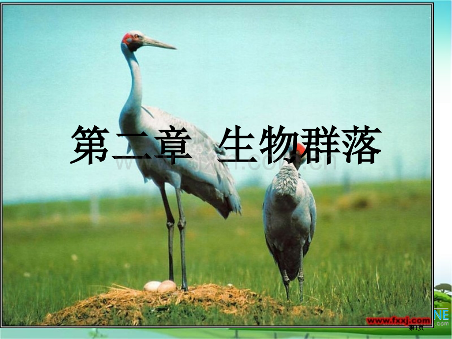 生物地理学生物群落省公共课一等奖全国赛课获奖课件.pptx_第1页