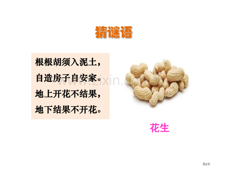 落花生ppt省公开课一等奖新名师比赛一等奖课件.pptx_第2页