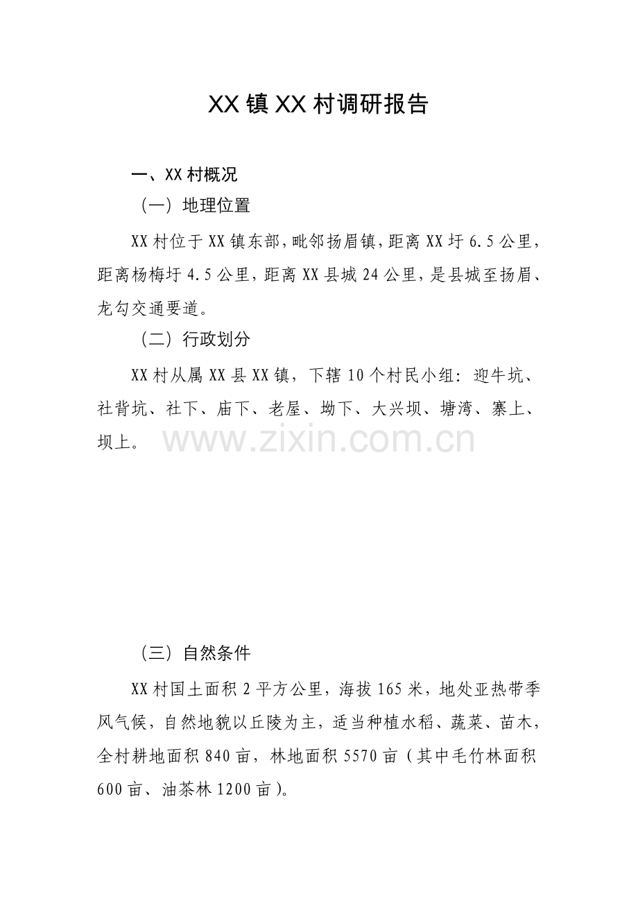 XX村调研分析报告专业资料.doc_第1页