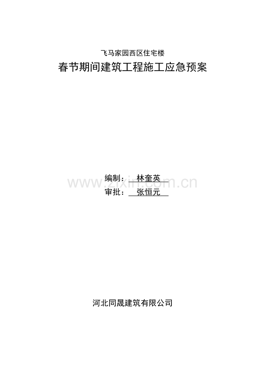 春节期间应急专项预案.doc_第1页