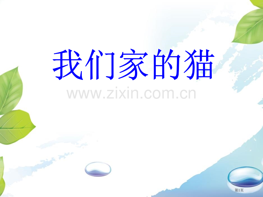 我们家的猫省公开课一等奖新名师优质课比赛一等奖课件.pptx_第1页