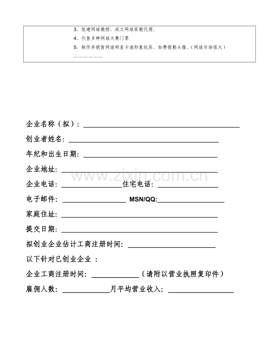 梦想基金网球大赛的商业计划书样本.doc_第2页