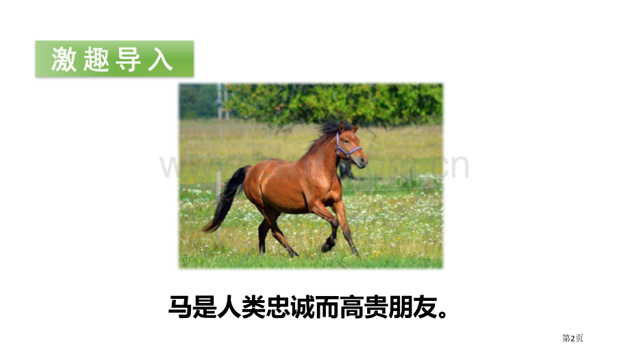 一匹出色的马省公开课一等奖新名师比赛一等奖课件.pptx_第2页
