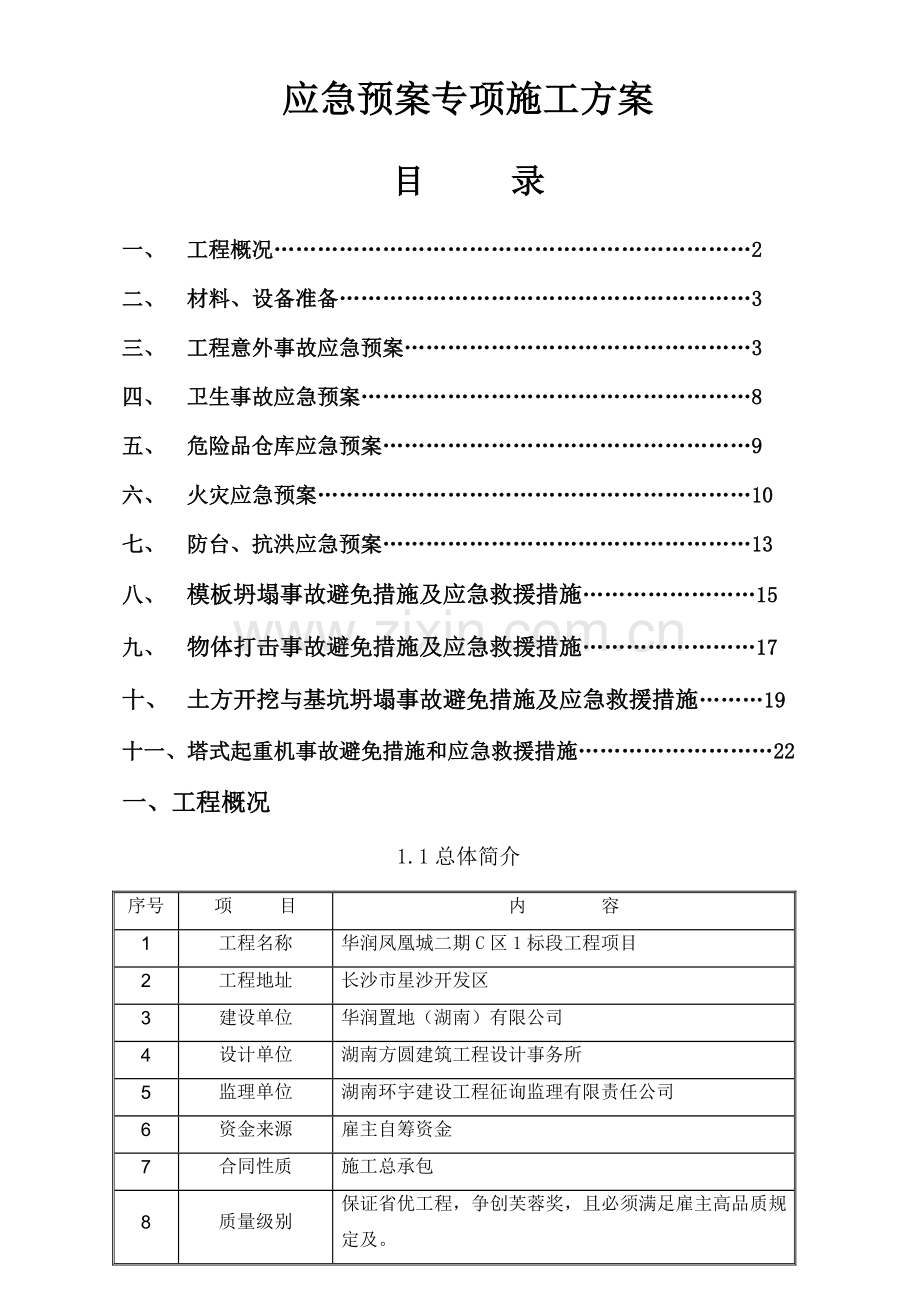 应急全新预案专项综合施工专题方案.docx_第1页