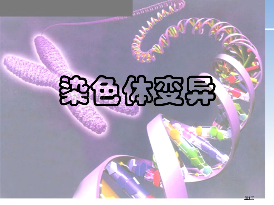 生物先晓波高二生物染色体变异省公共课一等奖全国赛课获奖课件.pptx_第1页
