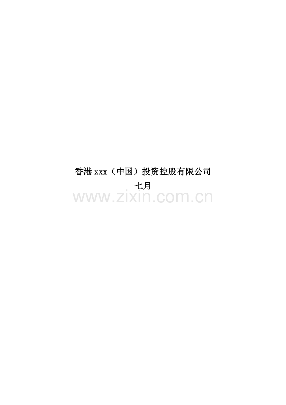 投资有限公司可行性专题研究报告.docx_第2页