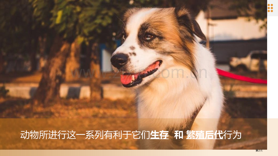 动物的运动教学课件省公开课一等奖新名师优质课比赛一等奖课件.pptx_第2页