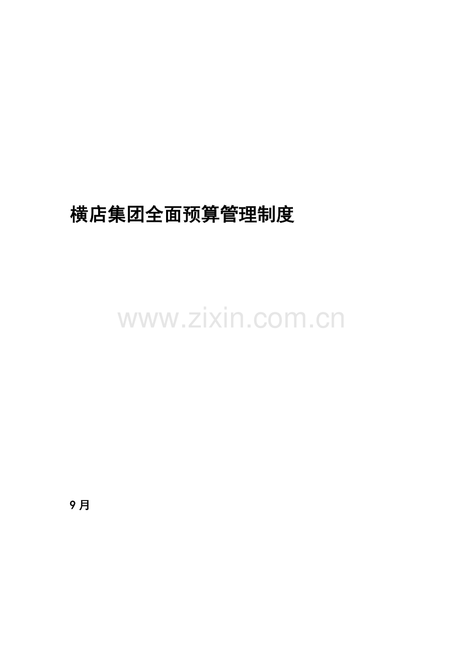 横店集团全面具体预算管理新版制度.docx_第1页
