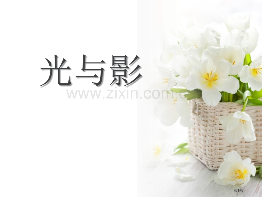 光与影多彩的光省公开课一等奖新名师优质课比赛一等奖课件.pptx_第1页