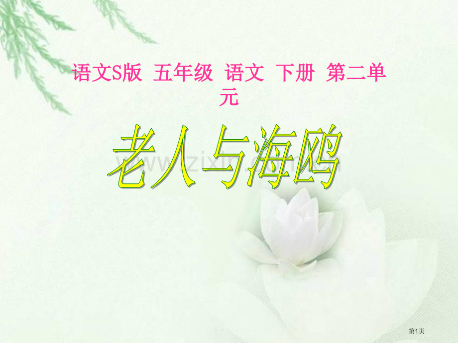 老人与海鸥课件8省公开课一等奖新名师优质课比赛一等奖课件.pptx_第1页