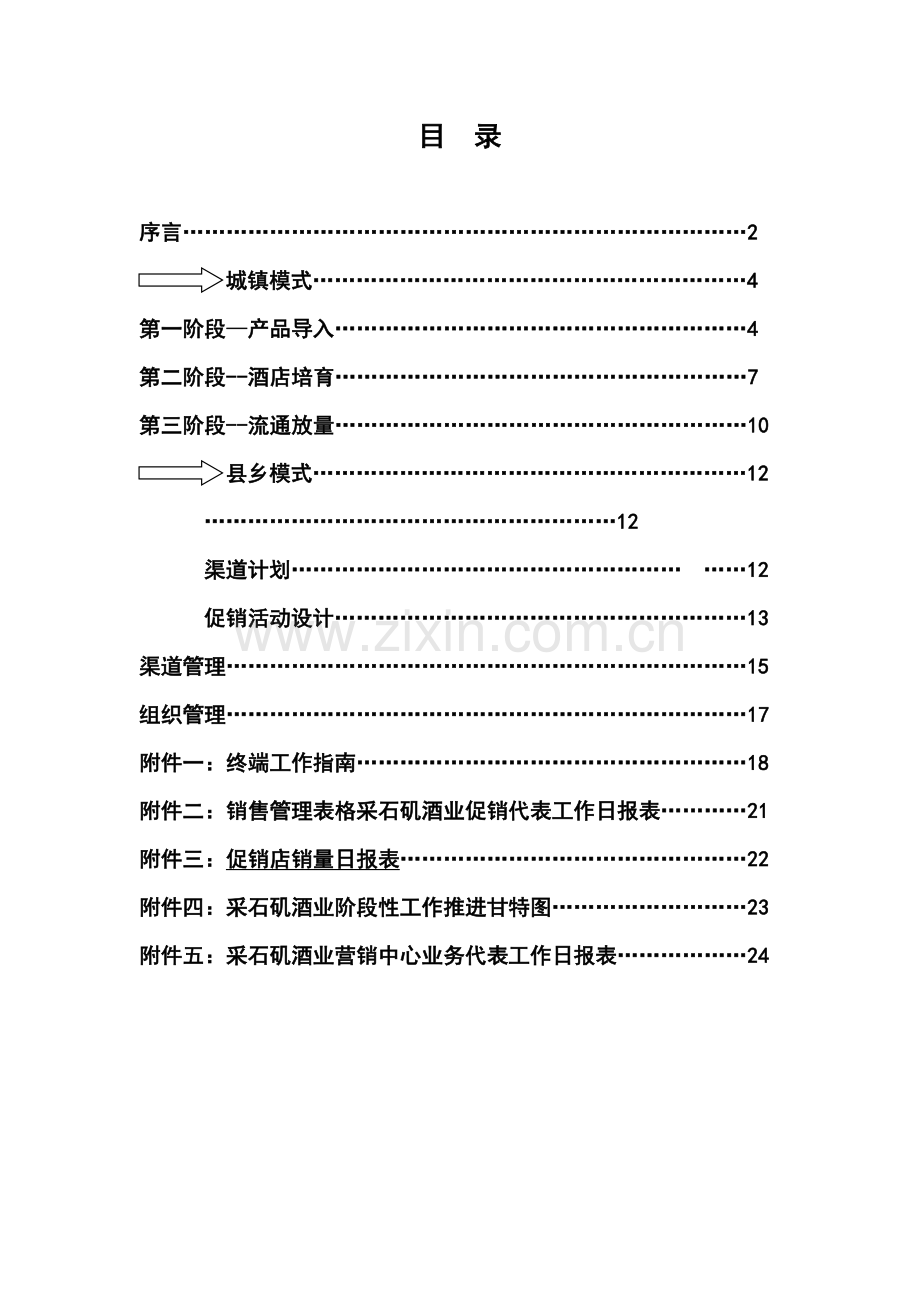 直分销模式运做指导手册模板.doc_第1页