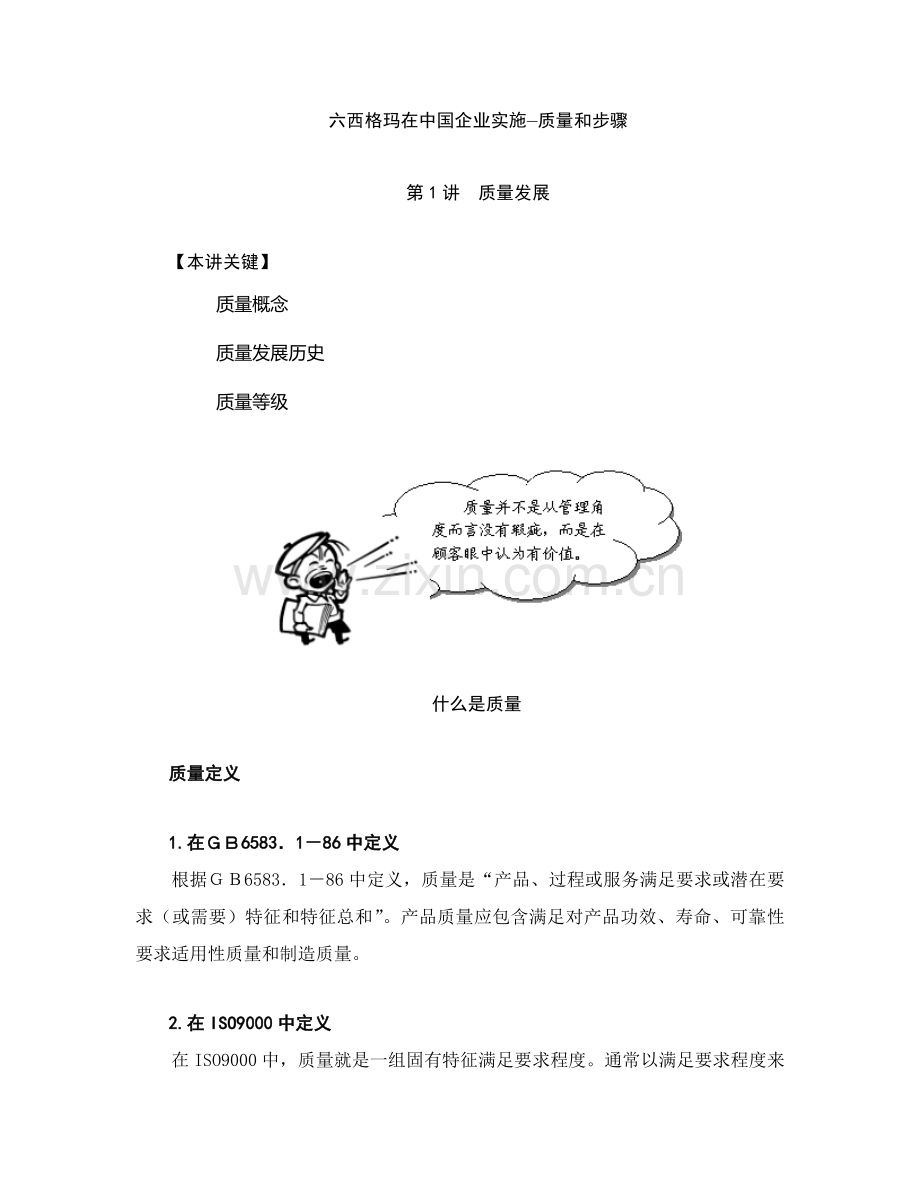 六西格玛在我国企业质量与流程实施管理模板.doc_第1页