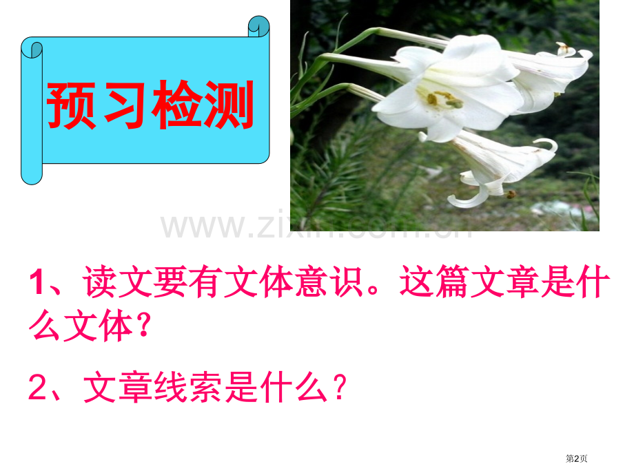 心田上的百合花.pptx_第2页