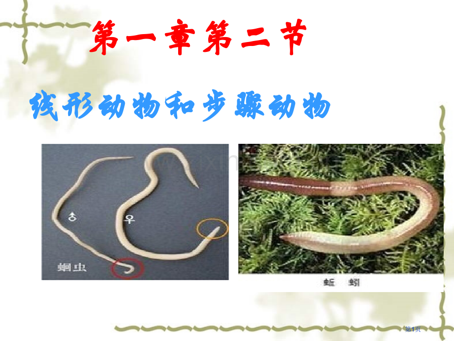 人教版八年级生物线形动物和环节动物省公共课一等奖全国赛课获奖课件.pptx_第1页